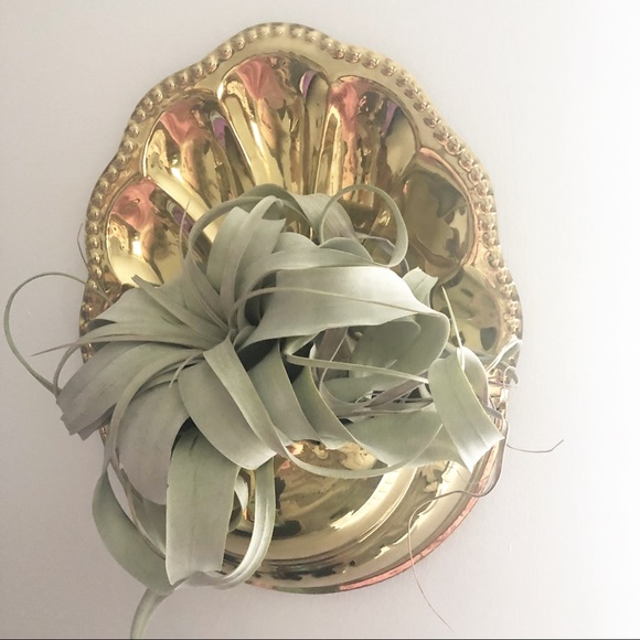 Vintage Brass Hanging Wall Pocket Plant Holder